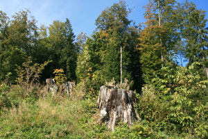 oberstdorf
